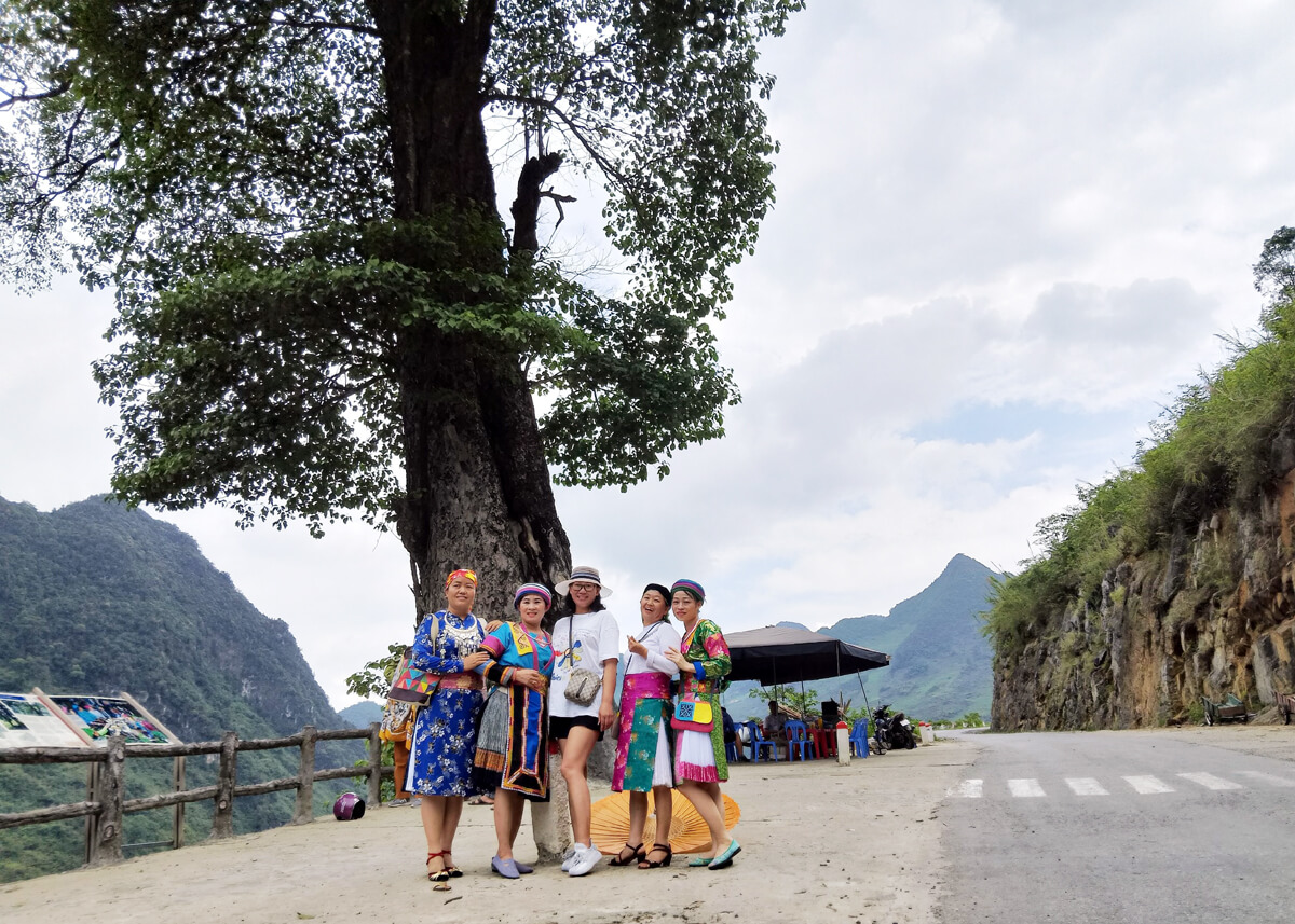 Lonely Tree in Ha Giang